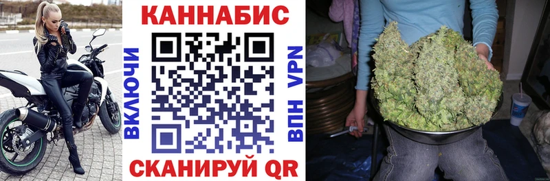 Шишки марихуана конопля  хочу   Сальск 